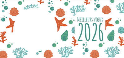 CARTE DE VOEUX "ALGUES"